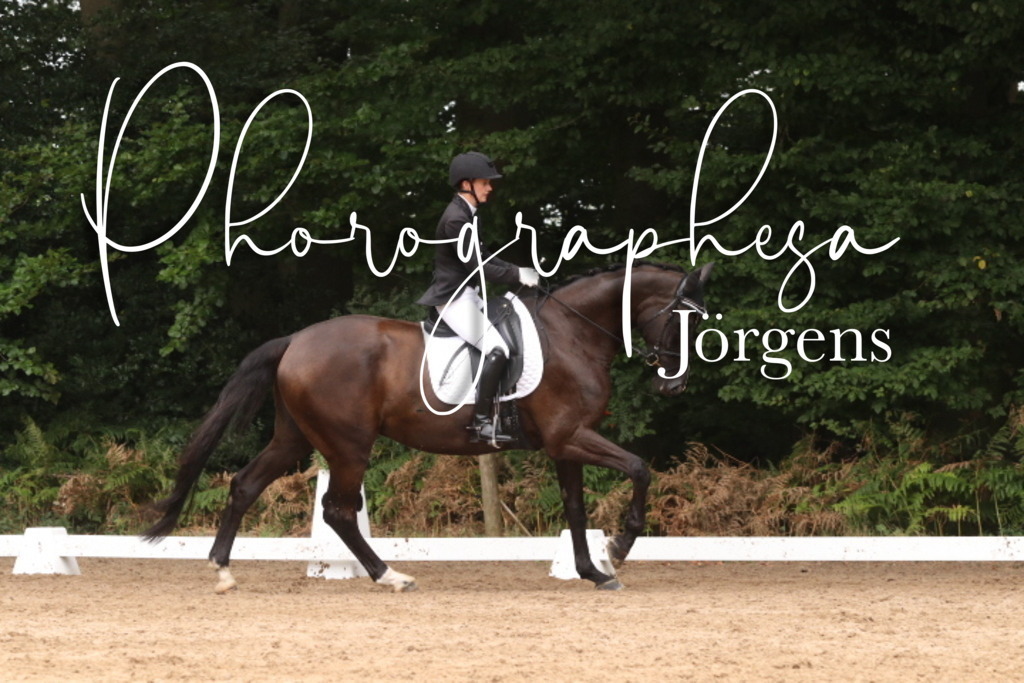 IMG_9817 | photographesa-joergens - Realisiert mit Pictrs.com