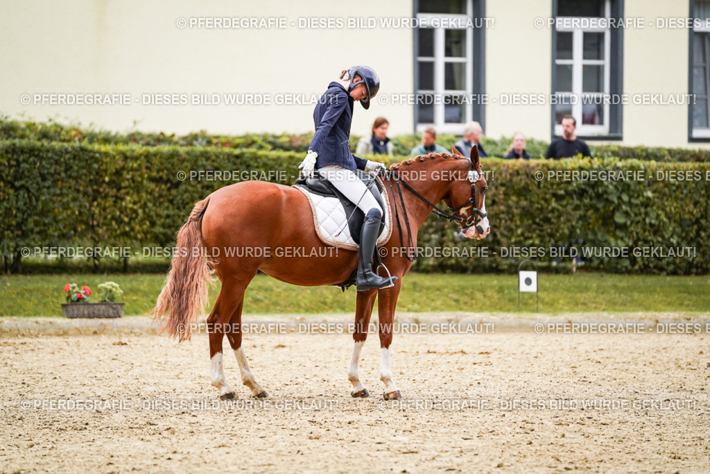 DSC09004 | Pferdegrafie