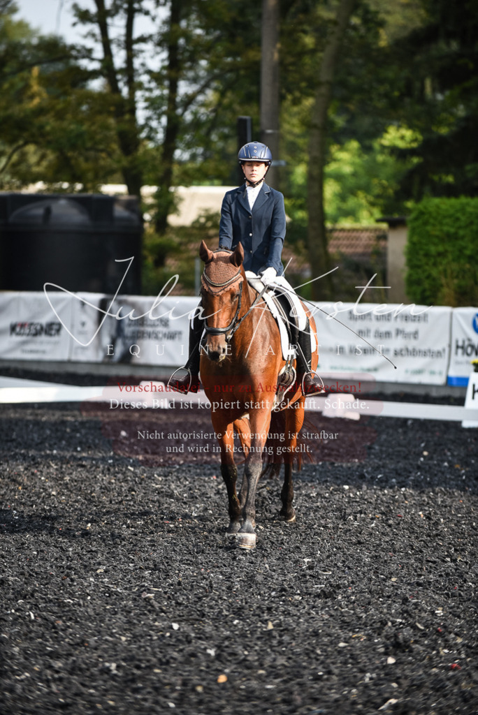 DSC_3352 | Pferde- und Turnierfotografie in Westsachsen. Pferdeportraits, Auftragszeichnungen und intuitive Kunst.