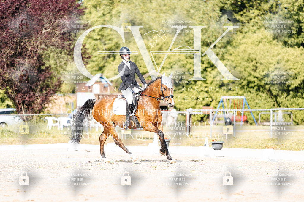 CK900021 | Turnierfotografie Pferdefotografie Trier Rheinland-Pfalz Pferdesport Reitsport Tierfotografie Sportfotografie Pferdevideo Pferdevideografie Equestrianvideography equestrianphotography  - Realisiert mit Pictrs.com