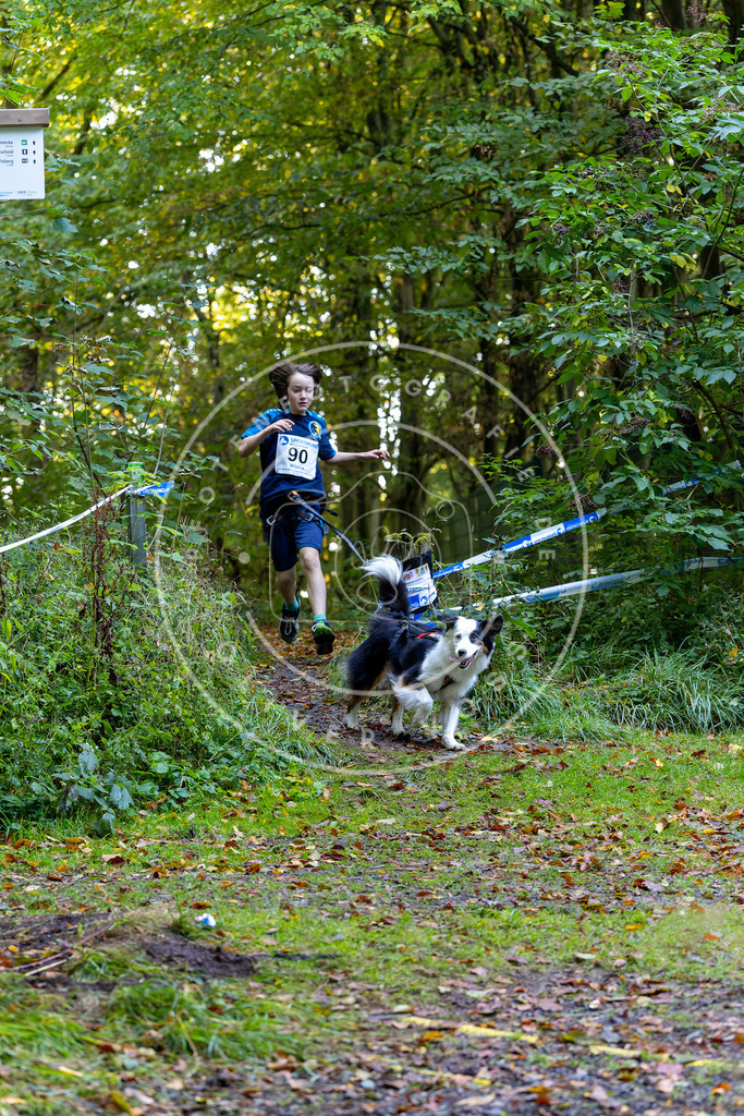 Pfotenfotografie_DV3A7671 | Hundefotografie, Tierfotograf, Pfotenfotografie, Fotoshooting Hund, Hunde Portrait, Hundesport, Hundeportraits, Heideshooting, Hunde, Sportfotograf, Hundefotograf, Turnierhundsport, THS,  - Realisiert mit Pictrs.com