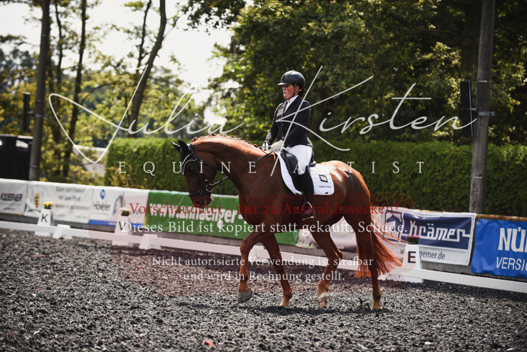 DSC_4188 | Pferde- und Turnierfotografie in Westsachsen. Pferdeportraits, Auftragszeichnungen und intuitive Kunst.
