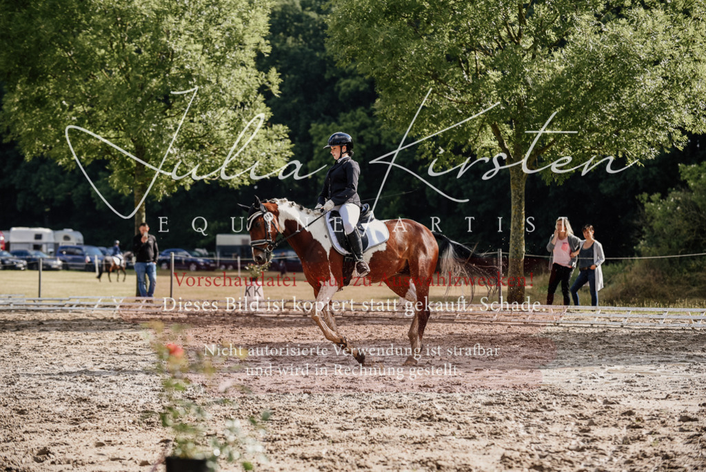 DSC_8767 | Pferde- und Turnierfotografie in Westsachsen. Pferdeportraits, Auftragszeichnungen und intuitive Kunst.