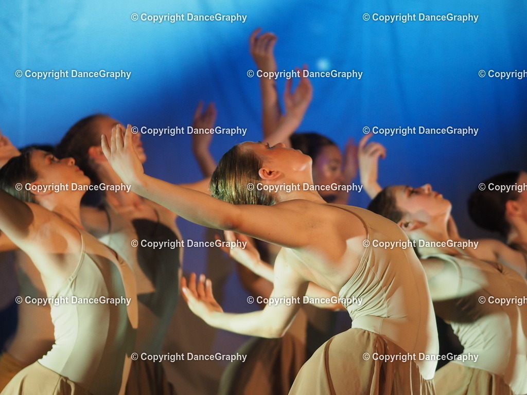 P6280101 | DanceGraphy - Realisiert mit Pictrs.com