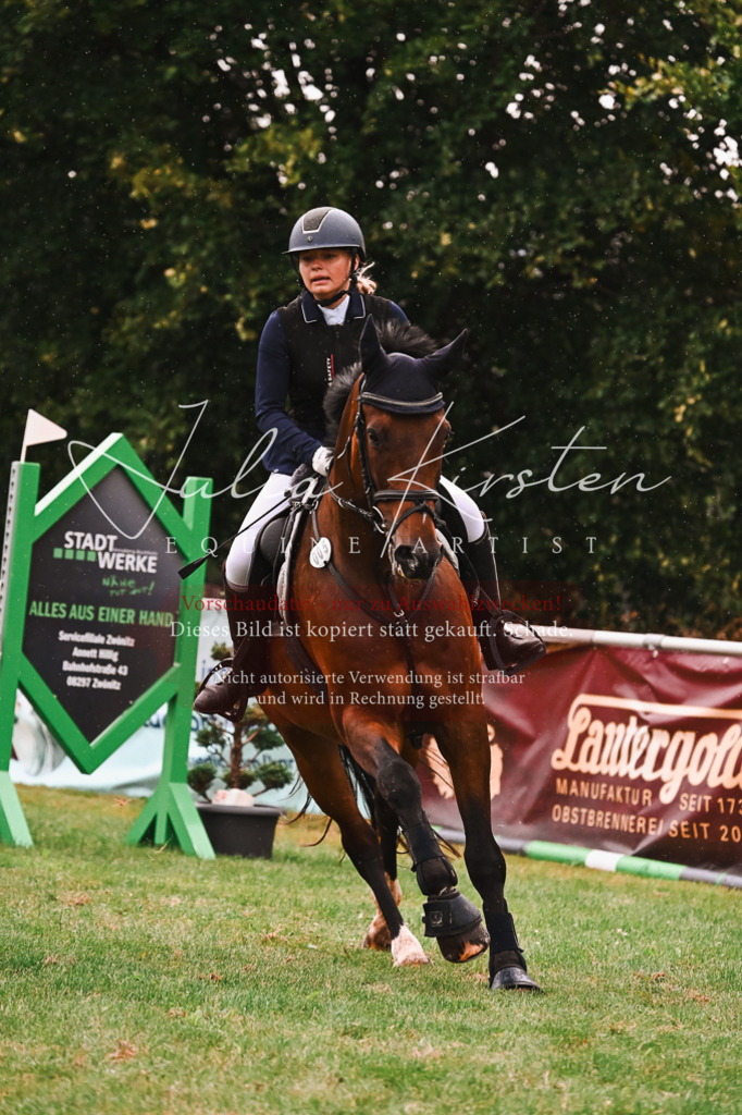 DSC_6401 | Pferde- und Turnierfotografie in Westsachsen. Pferdeportraits, Auftragszeichnungen und intuitive Kunst.