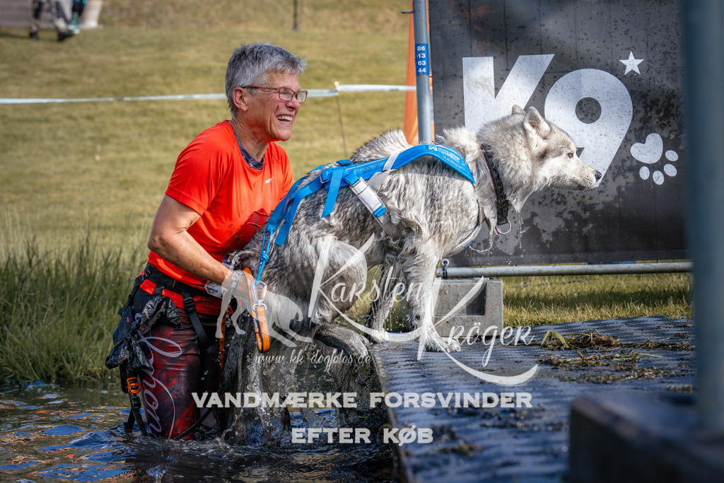 _ZZ982190755 | kk-dogfotos