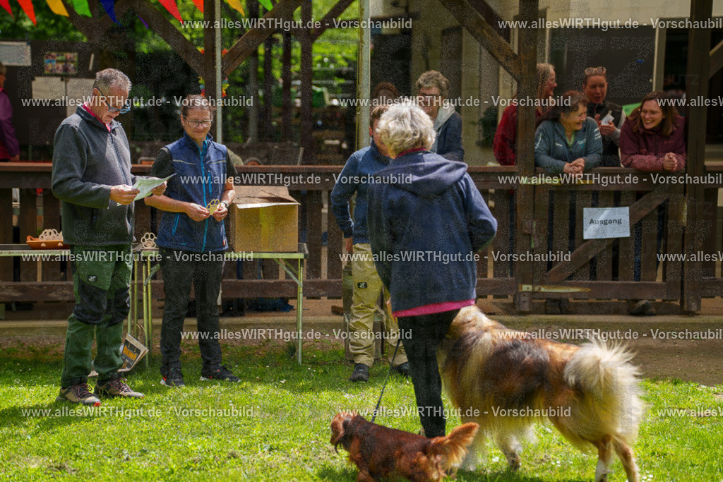 @allesWIRTHgut_Tierfotografie - www.allesWIRTHgut.de - 114834-7R508556 | Professionelle Tierfotografie in Mönchengladbach von Daniel Wirth (allesWIRTHgut). Liebevolle & natürliche Bilder von Hunden & Katzen für unvergessliche Erinnerungen.