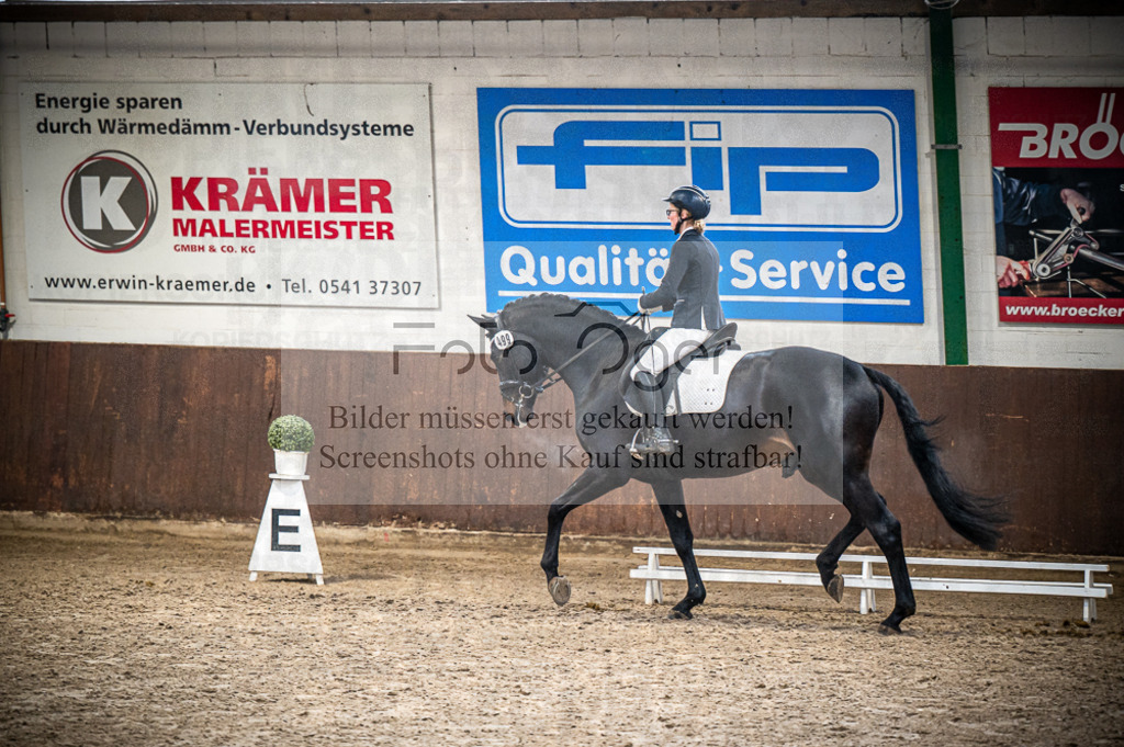Hallenreittunier Voxtrup 2023 | Entdecke hochwertige Reitturnierfotos von Foto Oger. Professionell, emotional und authentisch – jetzt Lieblingsmomente im Shop bestellen.Deutschlandweite Turnierfotografie. - Realisiert mit Pictrs.com