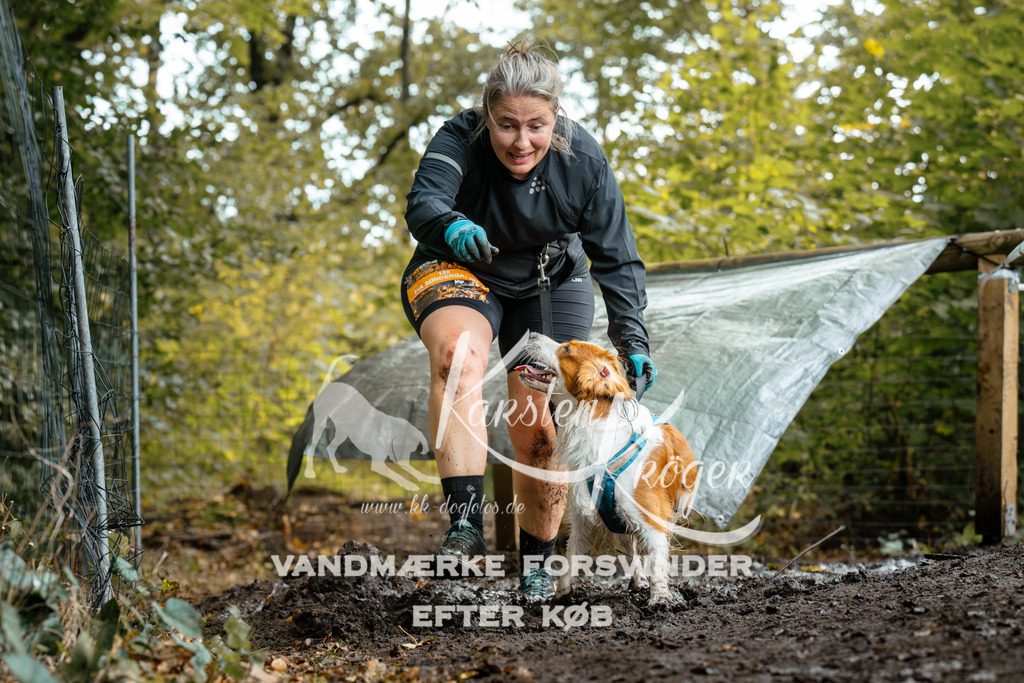 1426DZ6_1984Z6 | kk-dogfotos
