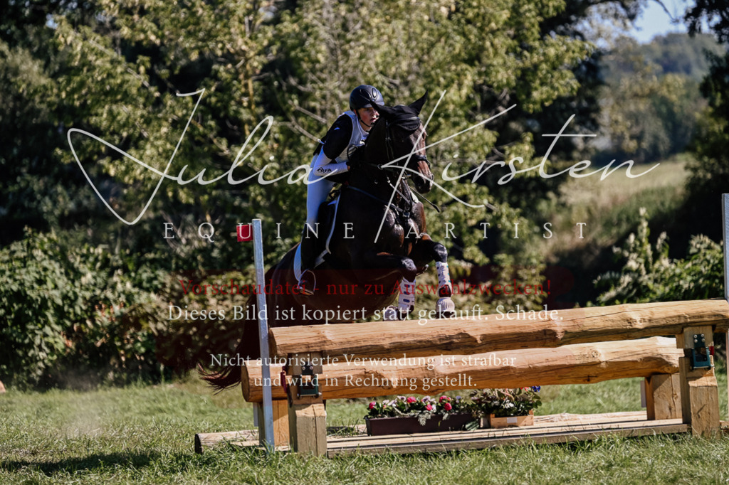 DSC_1474 | Pferde- und Turnierfotografie in Westsachsen. Pferdeportraits, Auftragszeichnungen und intuitive Kunst.