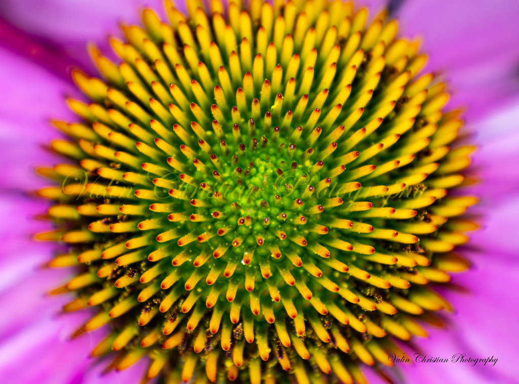 ULMA 18 | Christian Vulin  - Realisiert mit Pictrs.com