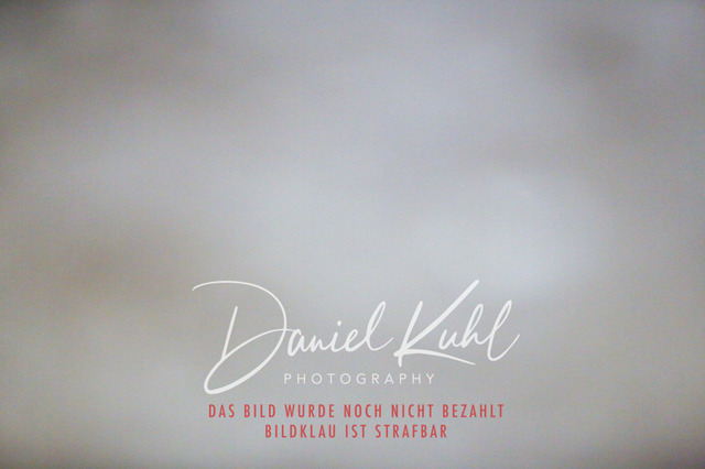 IMG_8301 | Turniersportfotografie; Pferdefotografie; Dressurfotografie