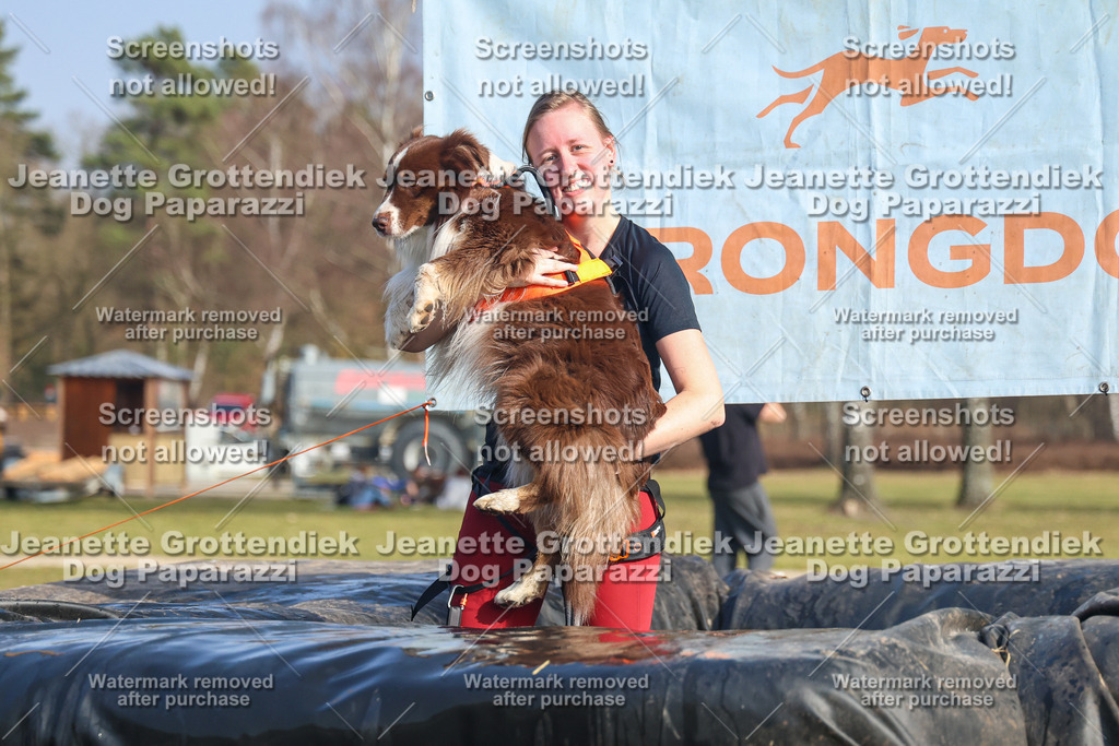Dog Paparazzi - Strongdog North Mrz26-3043 | Dog Paparazzi Jeanette Grottendiek Fotografie & Videografie - Realisiert mit Pictrs.com