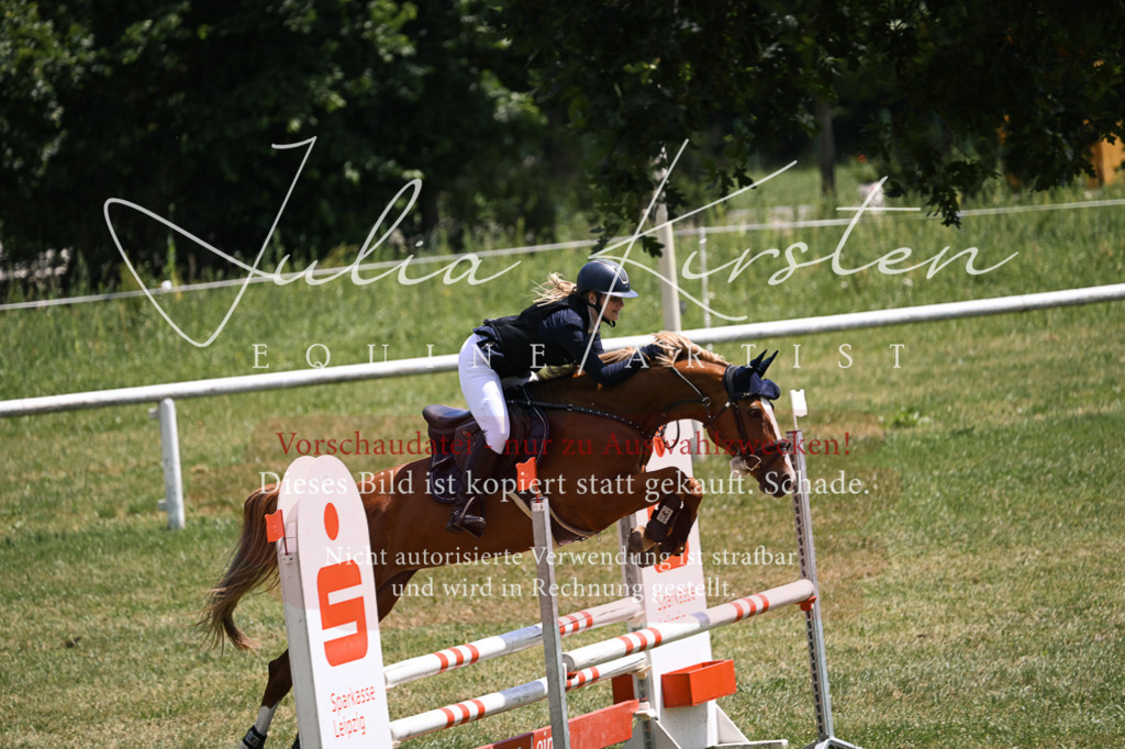 DSC_9847 | Pferde- und Turnierfotografie in Westsachsen. Pferdeportraits, Auftragszeichnungen und intuitive Kunst.