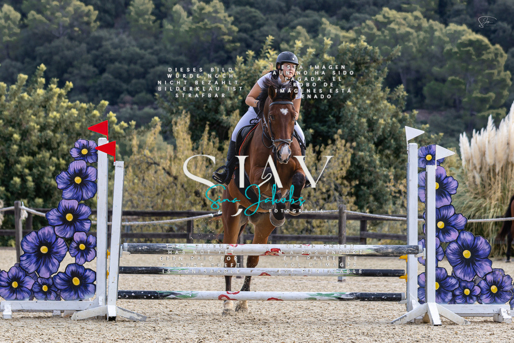 IMG_5373 | s-jay-photography - Realisiert mit Pictrs.com