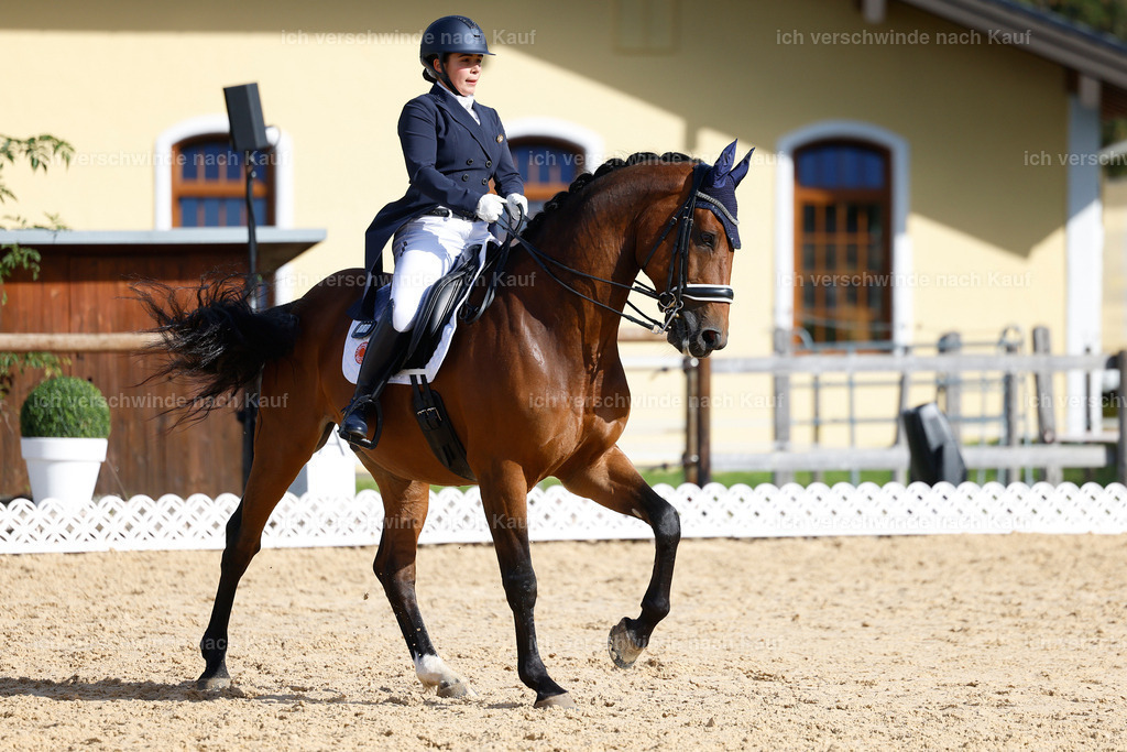 09_2-169-DRESSUR  S_  -StoibPH-5752 | working equitationturnier fotograf videograf stoibphotography marixx film working equitation deutschland reitsport turnierfotografie eventfotografie equestrian events