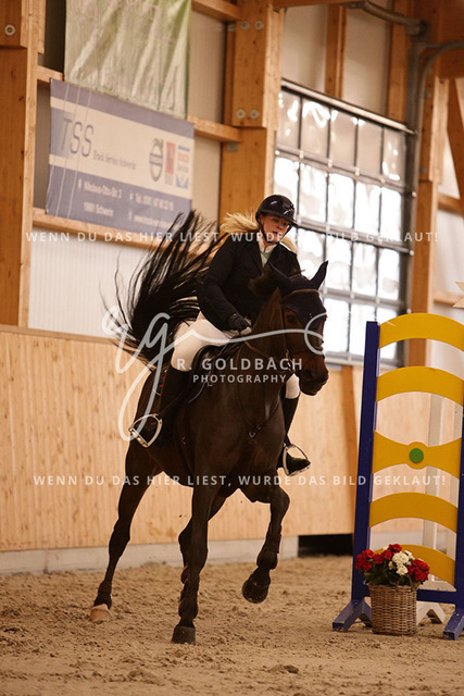 1J2A3177Alexa Burmeister_ Catania 131_ Kn091_ Hohen Wieschendorf_ Glantz | Foto- und Videografie für alles rund ums Pferd. Hochwertige Bilder und Videos vom Spring- und Dressurreiten, Voltigieren & mehr. Jetzt aktuelle Veranstaltungen und Preise im Shop ansehen. - Realisiert mit Pictrs.com