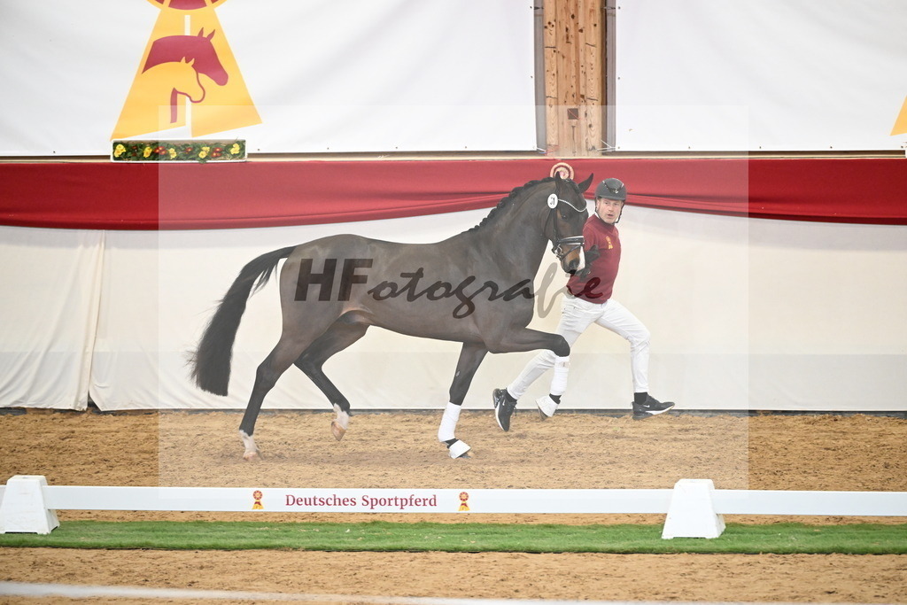 Kat.-Nr. 51 v. Donkey Boy_Lenzen_2250210 | hf-fotografie - Realisiert mit Pictrs.com