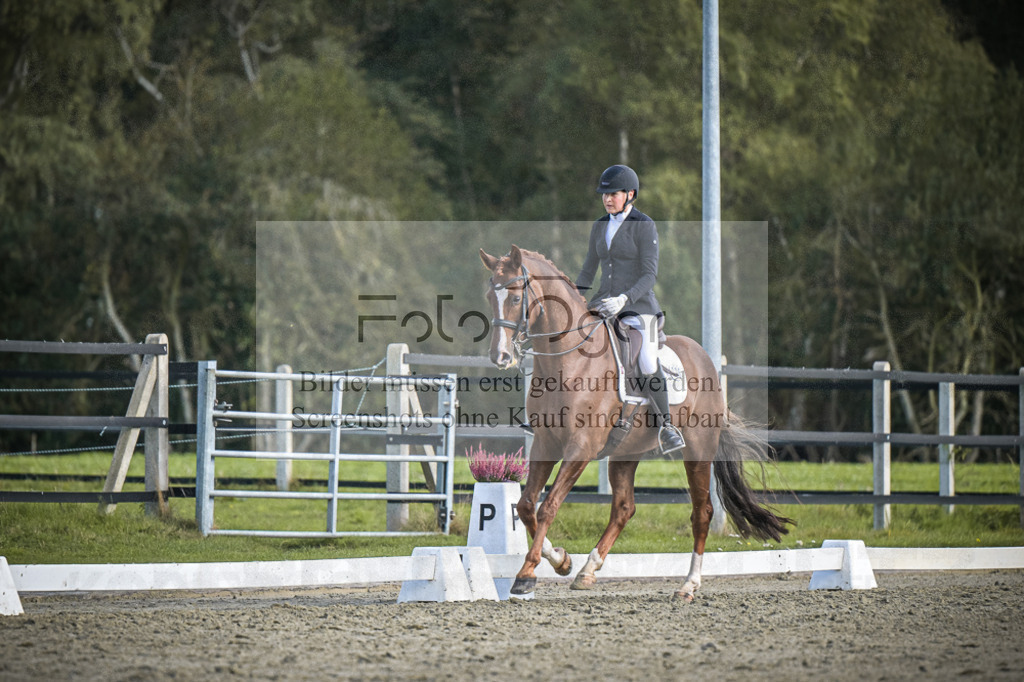 DOS_3772 | Entdecke hochwertige Reitturnierfotos von Foto Oger. Professionell, emotional und authentisch – jetzt Lieblingsmomente im Shop bestellen.Deutschlandweite Turnierfotografie. - Realisiert mit Pictrs.com