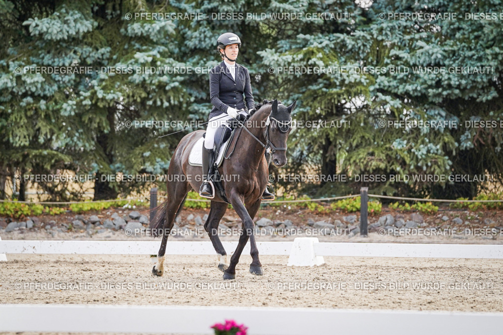 DSC00516 | Pferdegrafie