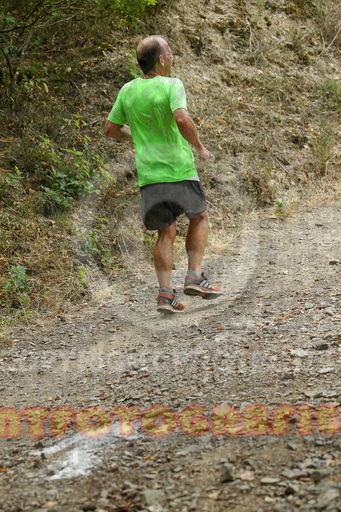 220827_1130_EX1_9161 | Sportfotografie im Rhein-Sieg Kreis, Köln, Bonn, NRW, Rheinland Pfalz, Hessen, etc. Unser Tätigkeitsfeld umfasst den Laufsport vom Volkslauf über den Marathon, Duathlon, Triathon bis zum Ultralauf wie Kölnpfad Ultra oder Schindertrail.