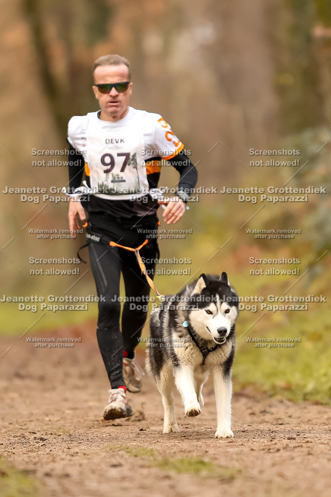 Dog Paparazzi - Speedhunter Mannheim  2025-270 | Dog Paparazzi Jeanette Grottendiek Fotografie & Videografie