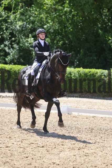 Böblingen_2025_Prfg.Nr.08_Dressurprüfung_Kl.M_Nürnberger Burgpokal_Nova Eden Gelf_Beckham GT (5) | Alle Fotos der Reiterjournal Fotografin Doris Matthaes im Reiterjournal Online-Fotoshop. - Realisiert mit Pictrs.com