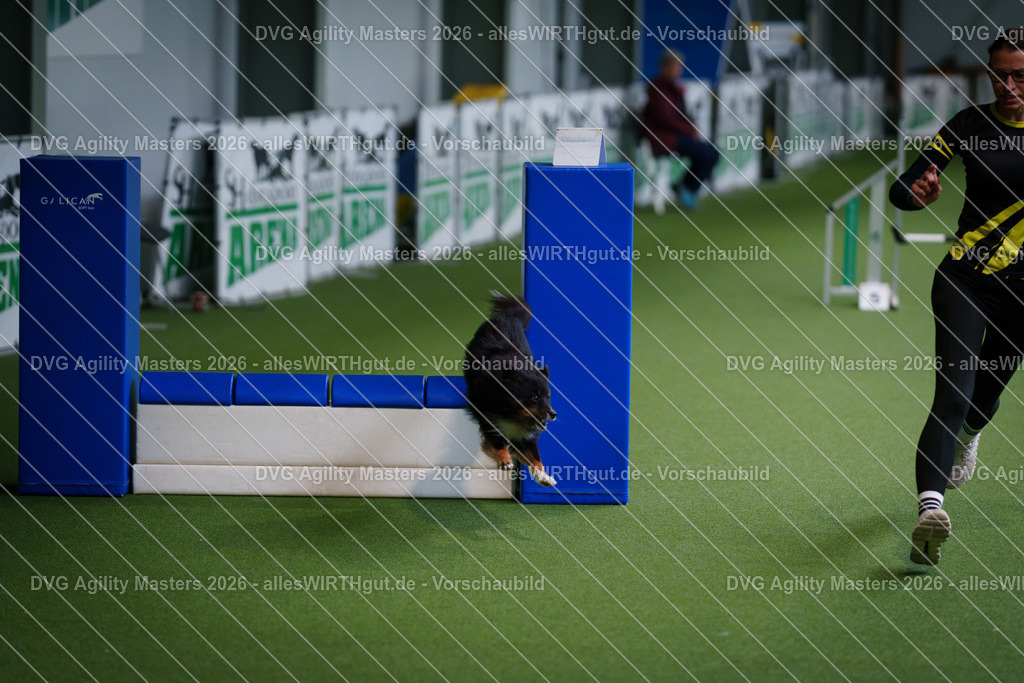allesWIRTHgut_Tierfotografie-DVG_Agility_Masters_2026-11_06-7R504800 | Professionelle Tierfotografie in Mönchengladbach von Daniel Wirth (allesWIRTHgut). Liebevolle & natürliche Bilder von Hunden & Katzen für unvergessliche Erinnerungen.