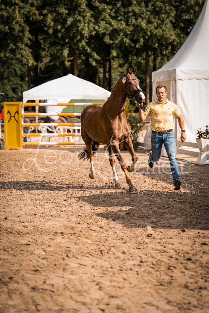 FrER00134 | Leoni Ertmer Photography - Realisiert mit Pictrs.com