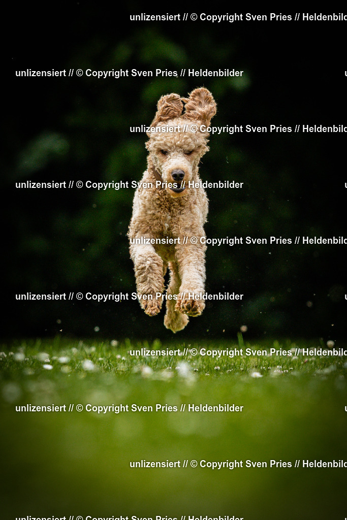 Sven Pries | 2025-05-29 - Pudelrennen KA-Durlach - Realisiert mit Pictrs.com