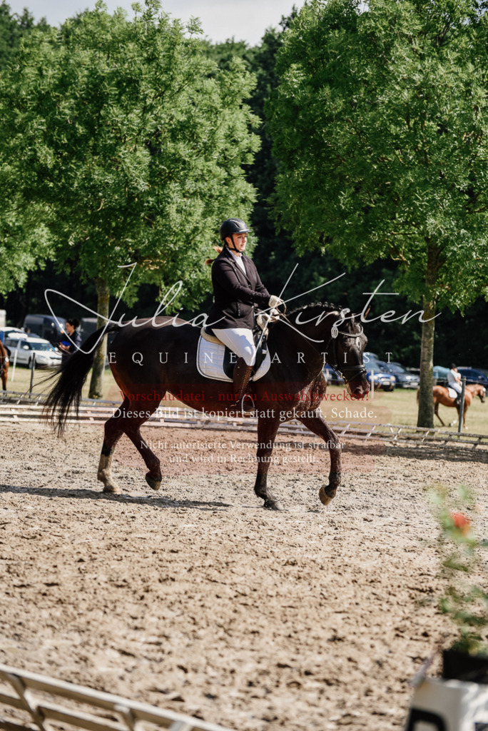 DSC_0175 | Pferde- und Turnierfotografie in Westsachsen. Pferdeportraits, Auftragszeichnungen und intuitive Kunst.