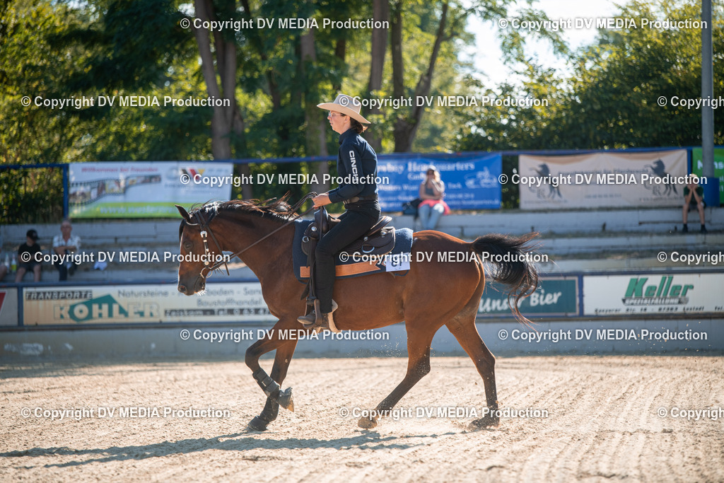 EWP_7024 | dv-media-shop - Realisiert mit Pictrs.com