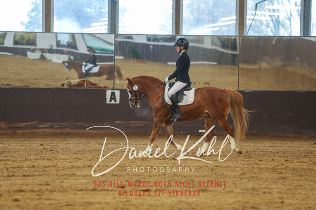 IMG_8226 | Turniersportfotografie; Pferdefotografie; Dressurfotografie