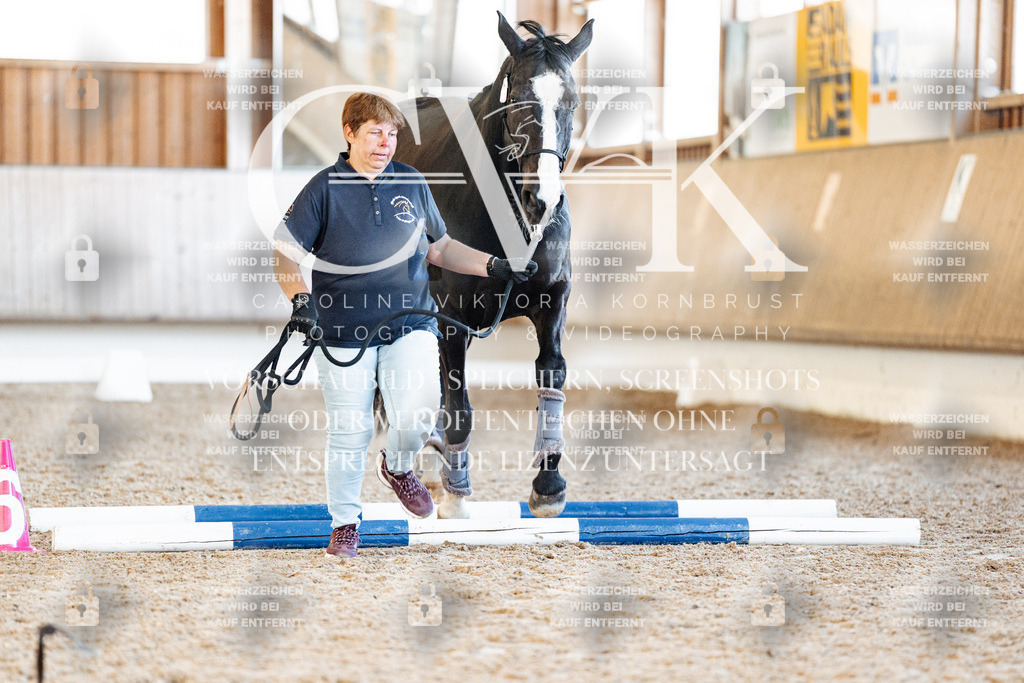CK906250 | Turnierfotografie Pferdefotografie Trier Rheinland-Pfalz Pferdesport Reitsport Tierfotografie Sportfotografie Pferdevideo Pferdevideografie Equestrianvideography equestrianphotography  - Realisiert mit Pictrs.com