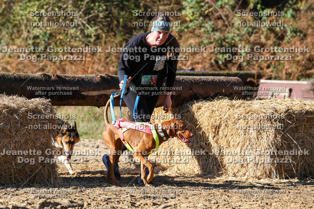 Dog Paparazzi - Strongdog 10-25-2145 | Dog Paparazzi Jeanette Grottendiek Fotografie & Videografie