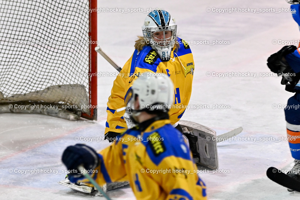 ESC SPARKASSE STEINDORF vs. EHC Althofen | #1 Adamitsch Anja EHC Althofen, ESC SPARKASSE STEINDORF vs. EHC Althofen, ESC SPARKASSE STEINDORF vs. EHC Althofen am 06.03.2026 in Steindorf (Ossiachersee Halle), Austria, (Photo by Bernd Stefan)