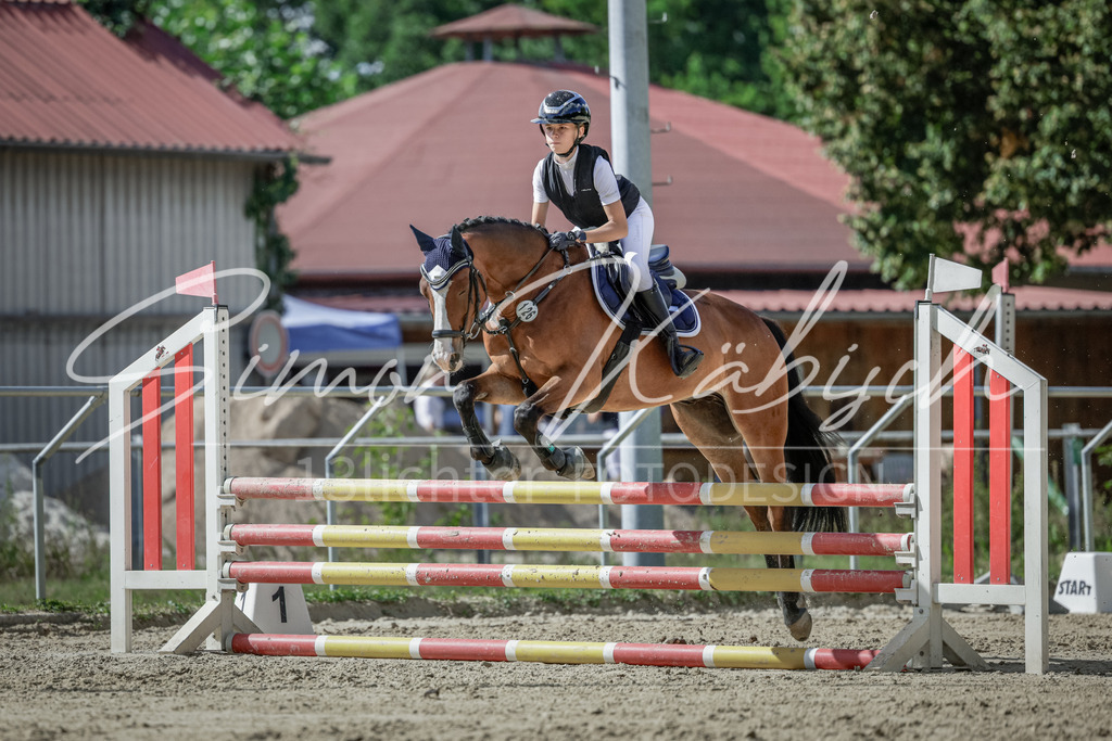 20250906-_3LI6536 | Tierfotografie Pferde, Hunde, Katzen, Haustiere.
Turnierfotografie Reitturniere, Reiten, Springreiten, Dressur in Hanau, dem Main-Kinzig-Kreis und dem Rhein-Main- Gebiet um Frankfurt