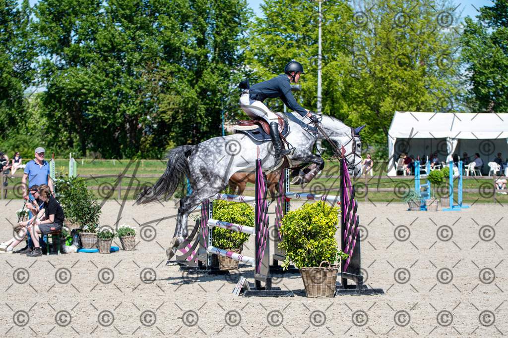 KPT_1390 | andre_photographic