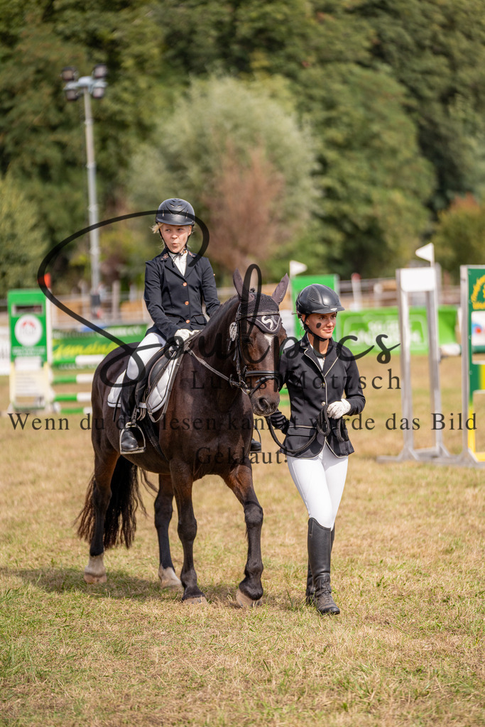 A7V08881 | Pferdefotograf