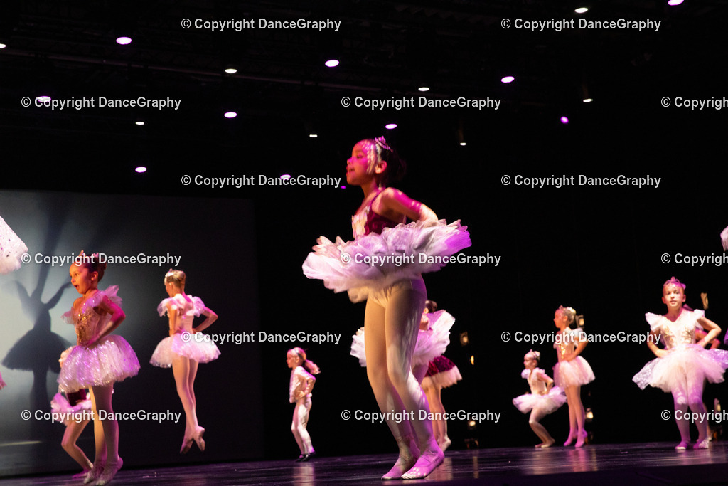 GPHY4447 | DanceGraphy - Realisiert mit Pictrs.com