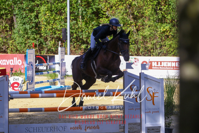 DKP43499 | Turniersportfotografie; Pferdefotografie; Dressurfotografie