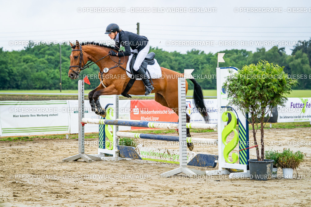 DSC02339 | Pferdegrafie