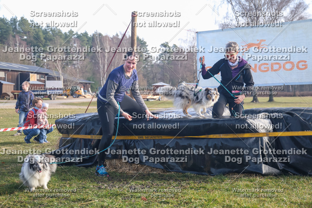 Dog Paparazzi - Strongdog North Mrz26-596 | Dog Paparazzi Jeanette Grottendiek Fotografie & Videografie - Realisiert mit Pictrs.com