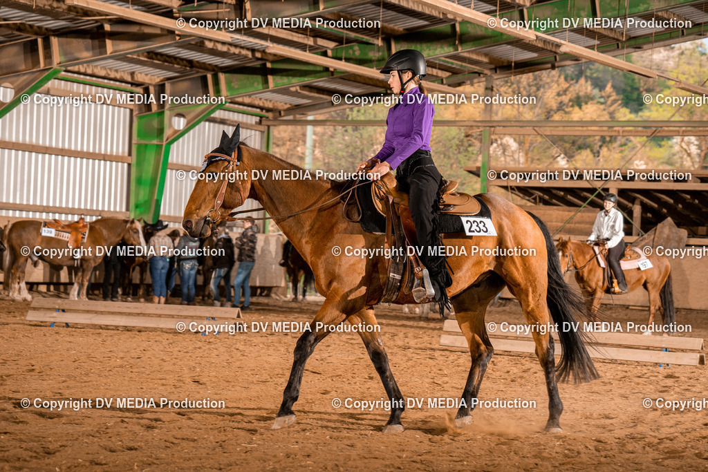 BAL03079 | dv-media-shop - Realisiert mit Pictrs.com