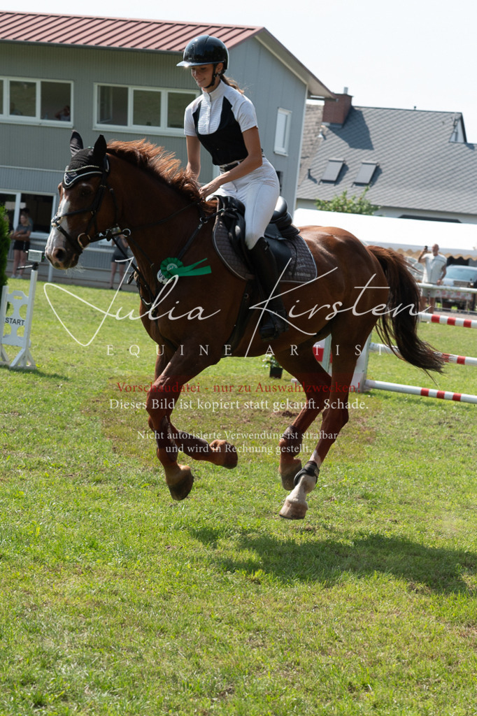 DSC_0702 | Pferde- und Turnierfotografie in Westsachsen. Pferdeportraits, Auftragszeichnungen und intuitive Kunst.
