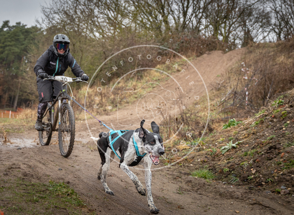 0L8A8946 | Hundefotografie, Tierfotograf, Pfotenfotografie, Fotoshooting Hund, Hunde Portrait, Hundesport, Hundeportraits, Heideshooting, Hunde, Sportfotograf, Hundefotograf, Turnierhundsport, THS,  - Realisiert mit Pictrs.com