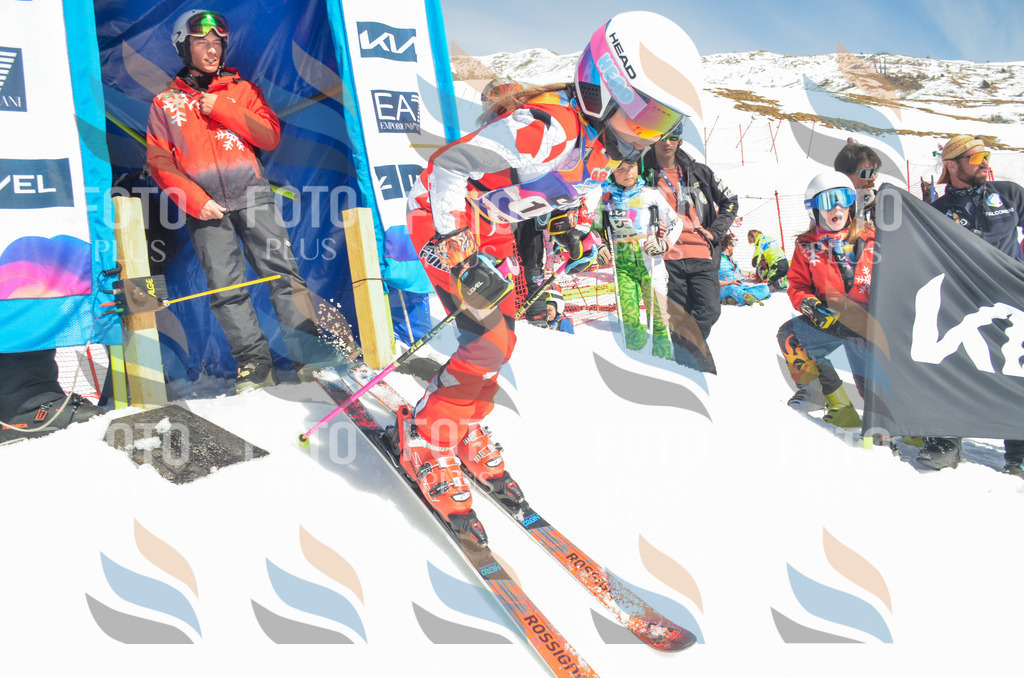 _ELE6100 | holidayphoto