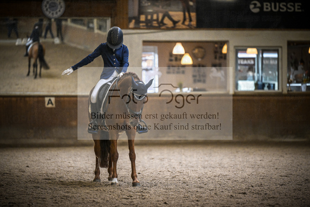 DOS_1222 | Entdecke hochwertige Reitturnierfotos von Foto Oger. Professionell, emotional und authentisch – jetzt Lieblingsmomente im Shop bestellen.Deutschlandweite Turnierfotografie. - Realisiert mit Pictrs.com