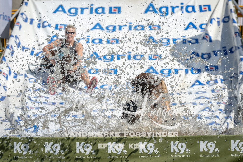 1217_ZZ95846 | kk-dogfotos