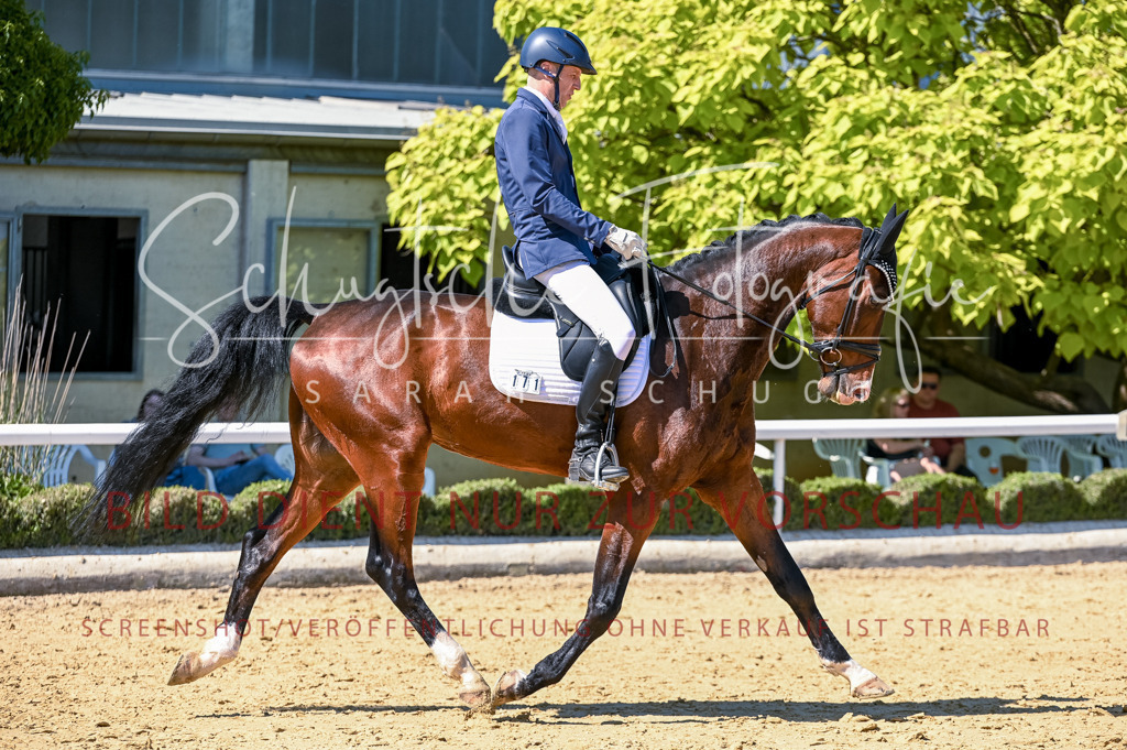 Schugtsche-Aluta25-50.Dressurpferdeprf.L-26 | Schugtsche Fotografie - Realisiert mit Pictrs.com